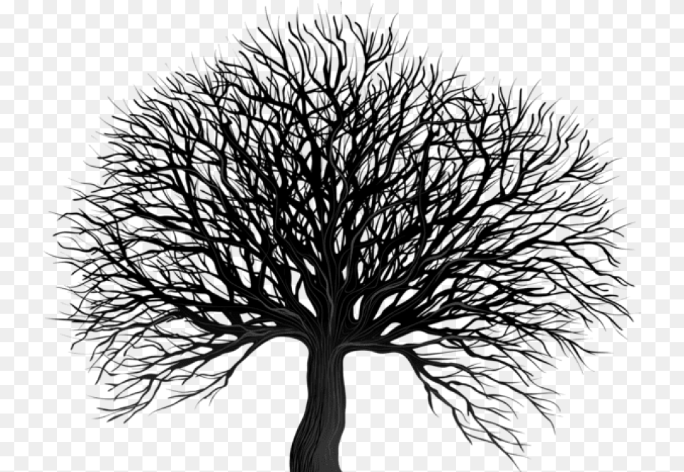 Black Tree Images Background Winter Tree Silhouette, Person, Art Free Png Download