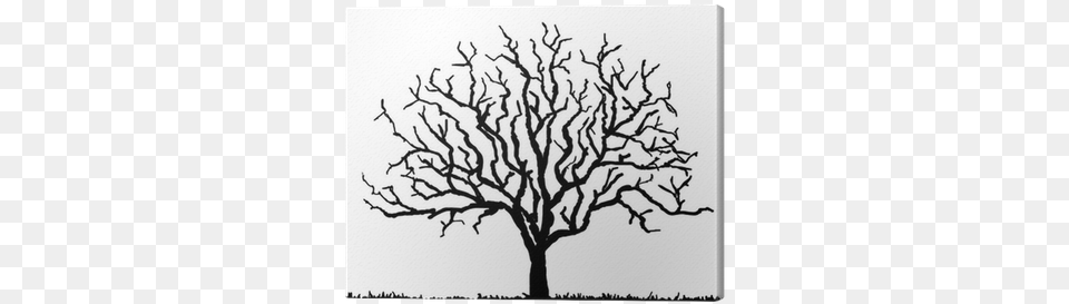 Black Tree Silhouette With No Leaves Vector Illustration Tree Silhouette With No Leaves, Plant, Art, Drawing, Oak Free Png