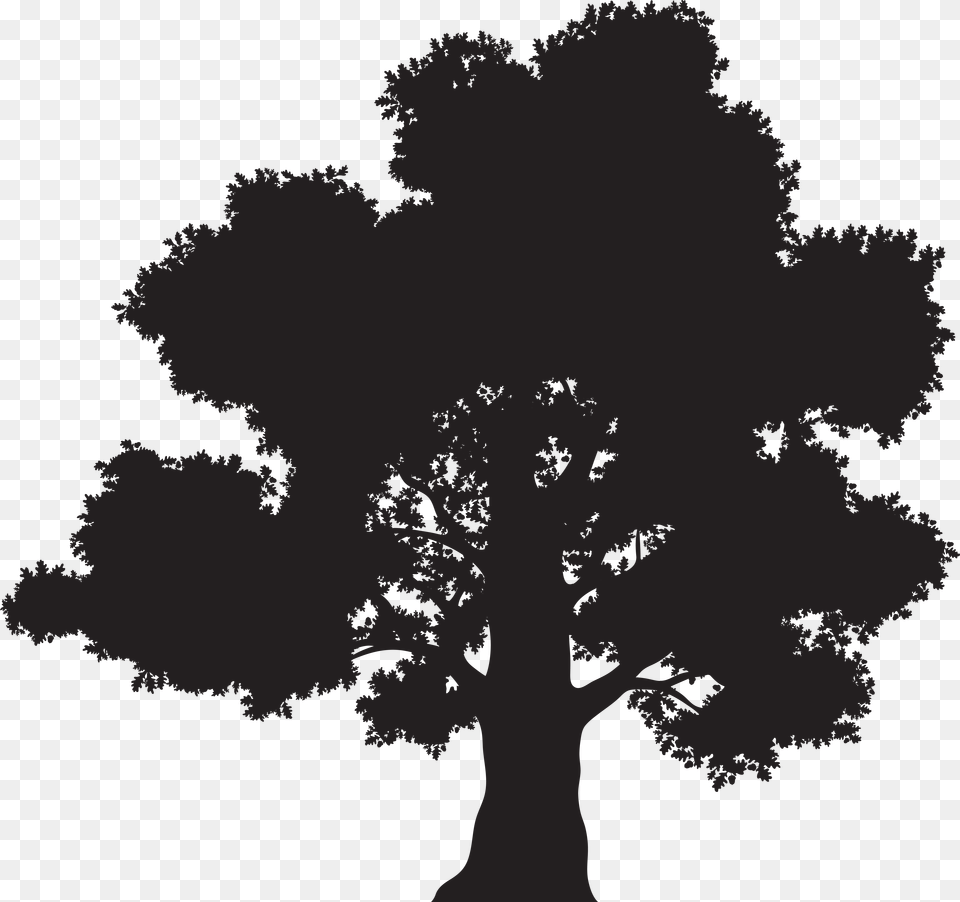 Black Tree Vector, Art, Plant, Silhouette, Drawing Png Image