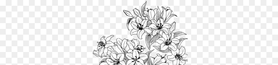 Black Tumblr Flowers, Gray Png