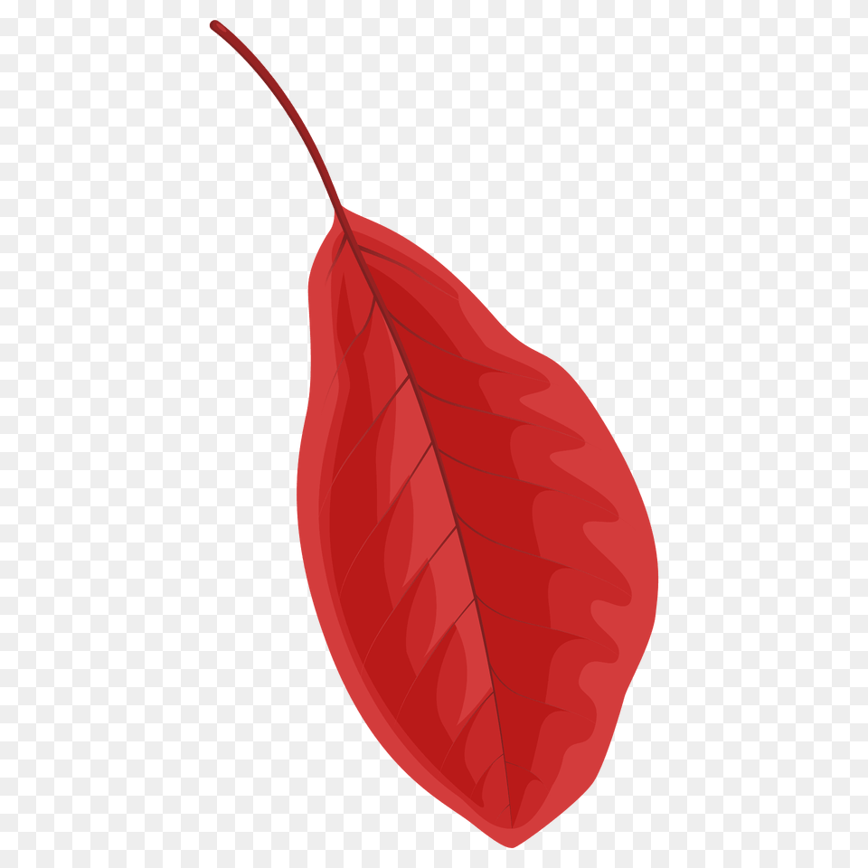 Black Tupelo Red Leaf Clipart, Plant, Food, Ketchup Free Png