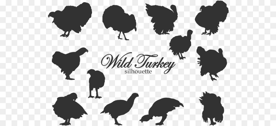 Black Turkey Silhouette Rooster Clip Art Support Our Troops Canada, Animal, Bear, Mammal, Wildlife Png