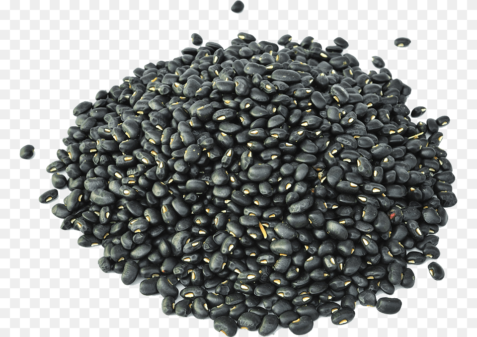 Black Turtle Bean Minestrone Sprouting Frijoles Negros, Food, Plant, Produce, Vegetable Free Png Download