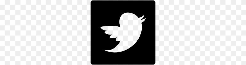 Black Twitter Logo, Baby, Person, Astronomy, Moon Png
