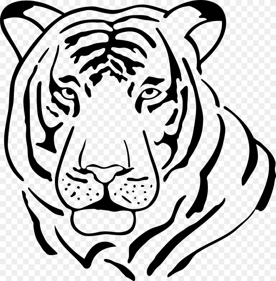 Black Vector White Tiger Tiger Symmetry Worksheet, Gray Free Transparent Png