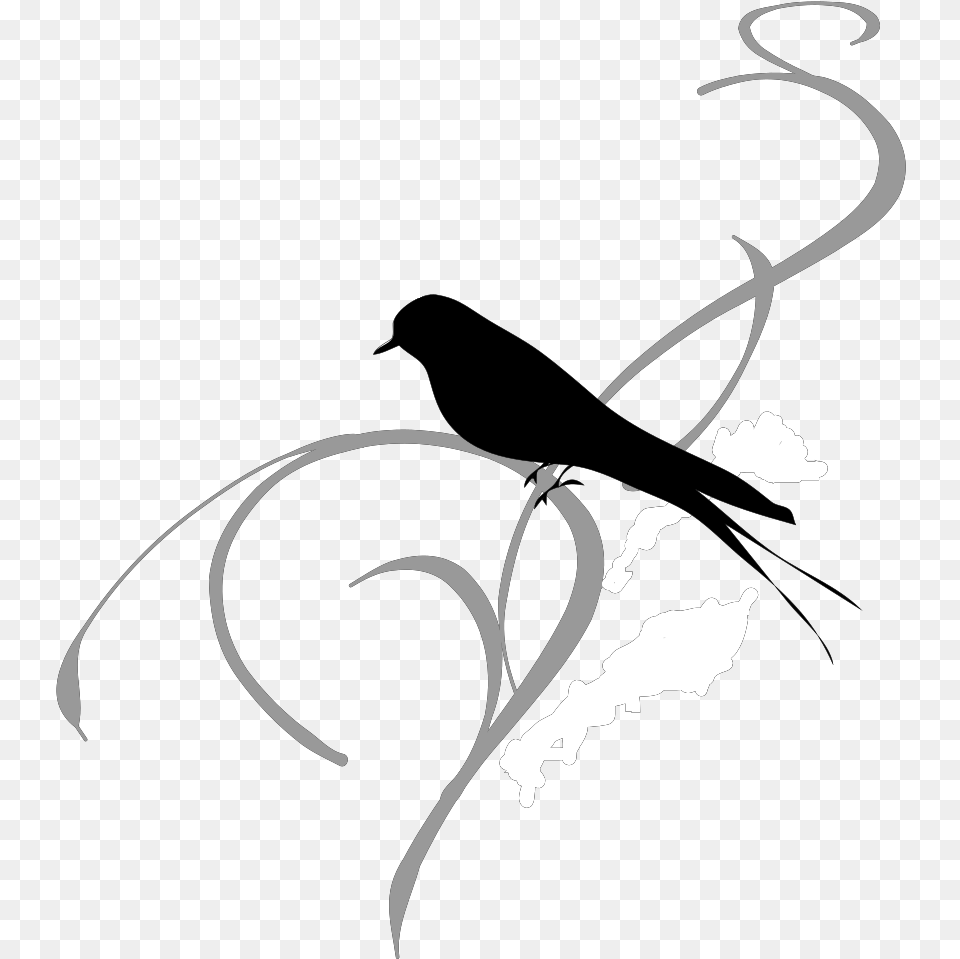 Black Vine, Stencil, Animal, Sea Life Png Image