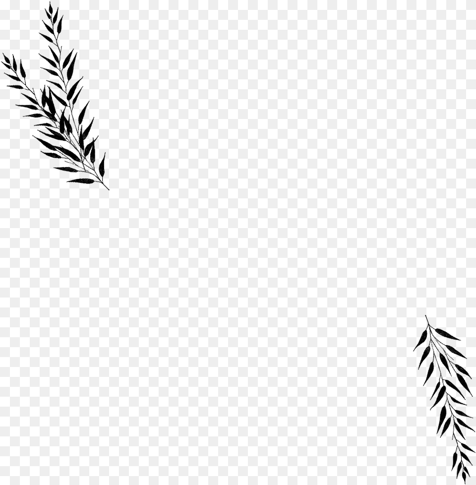 Black Wedding Leaves, Silhouette, Plant, Reed, Art Free Png Download