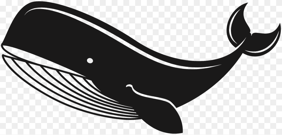 Black Whale Clipart, Animal, Mammal, Sea Life, Fish Free Transparent Png