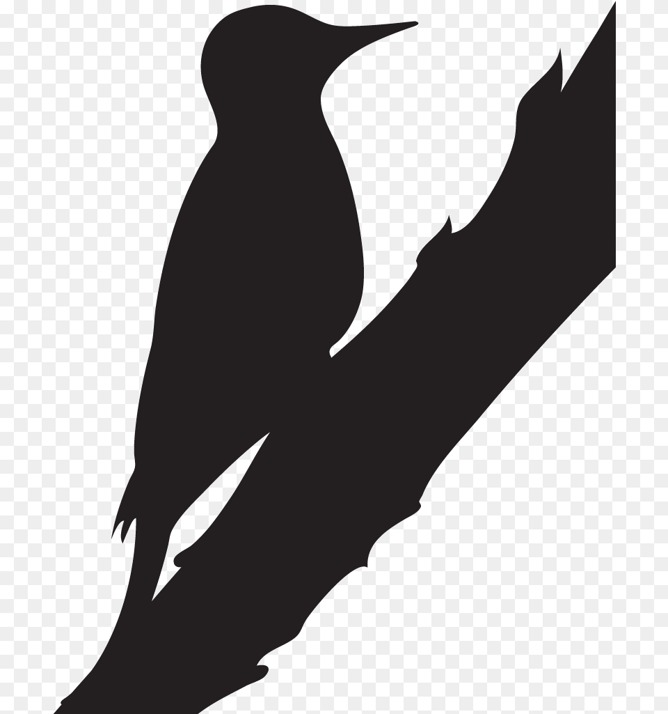 Black White And Red Woodpeckers, Animal, Beak, Bird, Fish Png