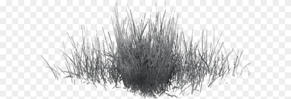 Black White Pattern Black Color Grass, Plant, Vegetation, Flower Png Image