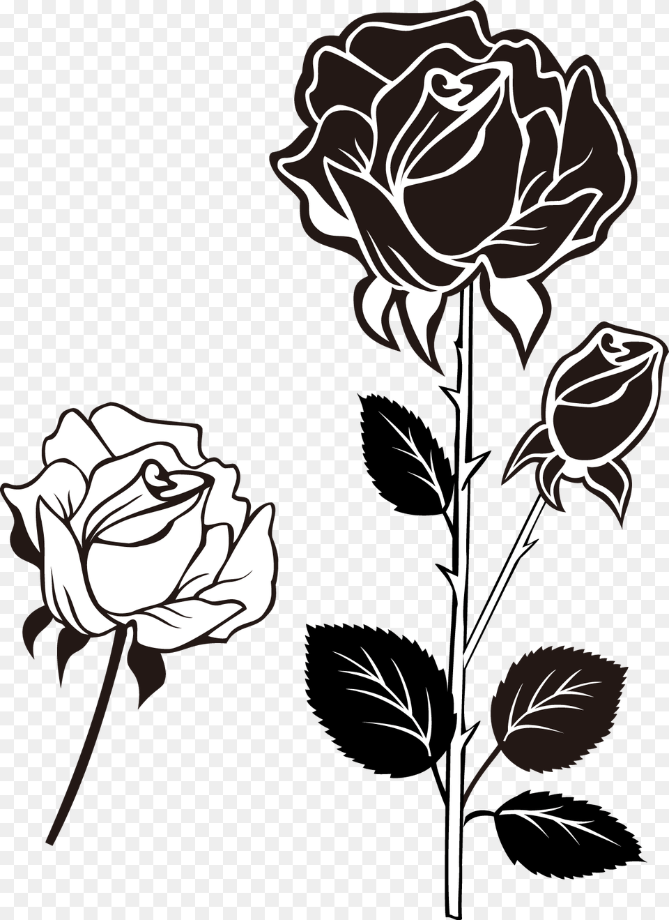 Black White Rose Search Result 72 Cliparts For Black Rosa Preta E Branca, Flower, Plant, Art, Drawing Png Image