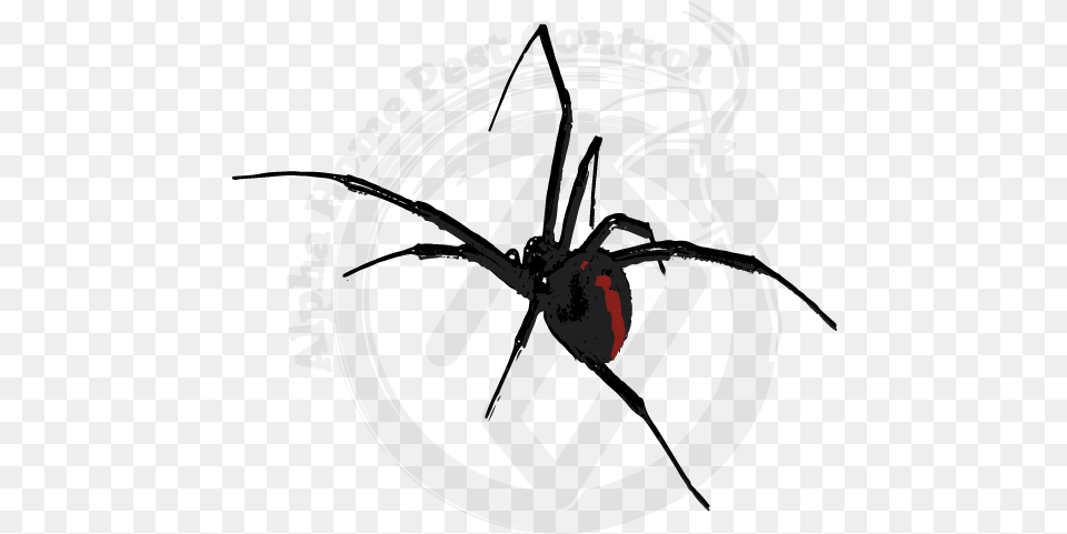 Black Widow, Animal, Invertebrate, Spider, Alloy Wheel Free Png Download