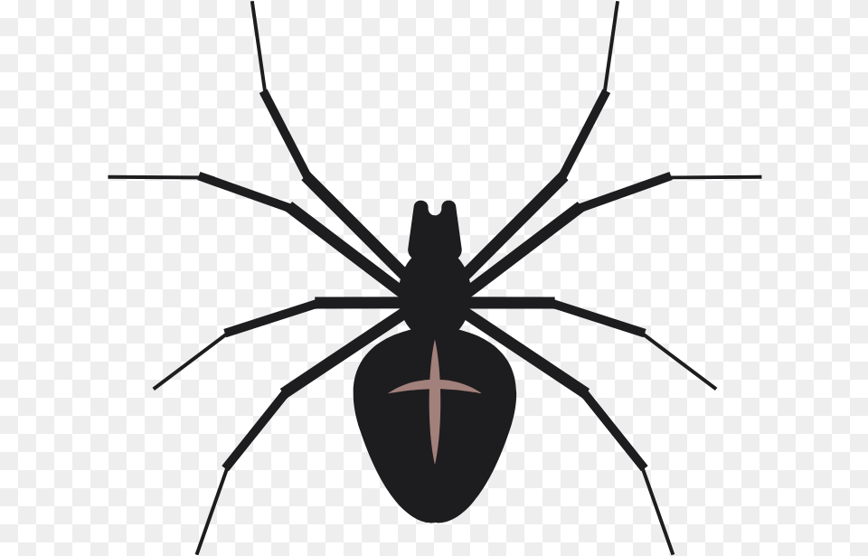 Black Widow, Animal, Invertebrate, Spider Png