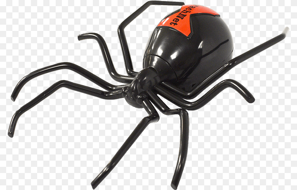 Black Widow, Animal, Invertebrate, Spider, Black Widow Free Png Download