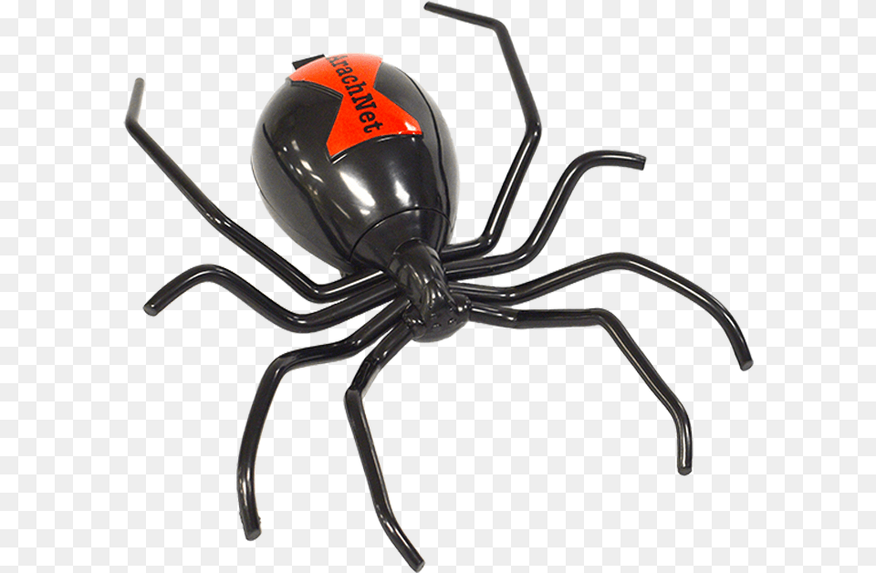 Black Widow, Animal, Invertebrate, Spider, Black Widow Free Png