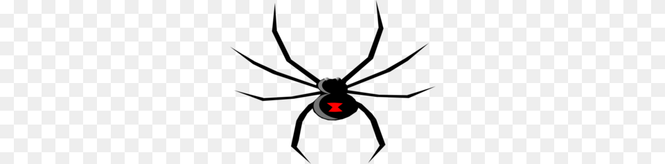 Black Widow Clip Art, Animal, Invertebrate, Spider Free Transparent Png