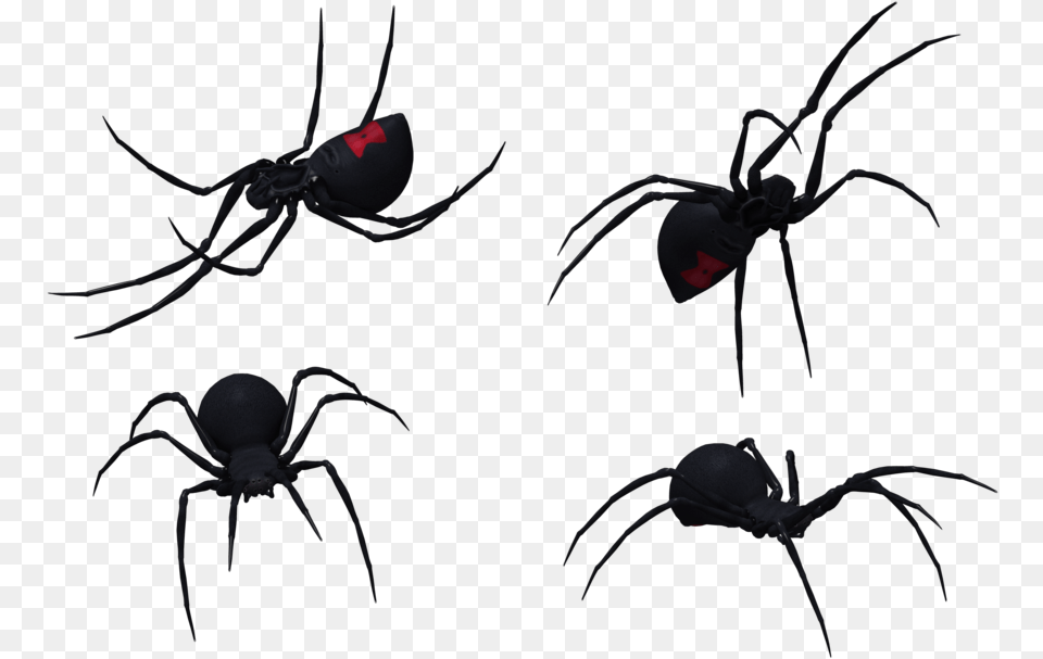 Black Widow Clipart Transparent Black Widow Drawings Spider, Animal, Invertebrate, Black Widow, Insect Png