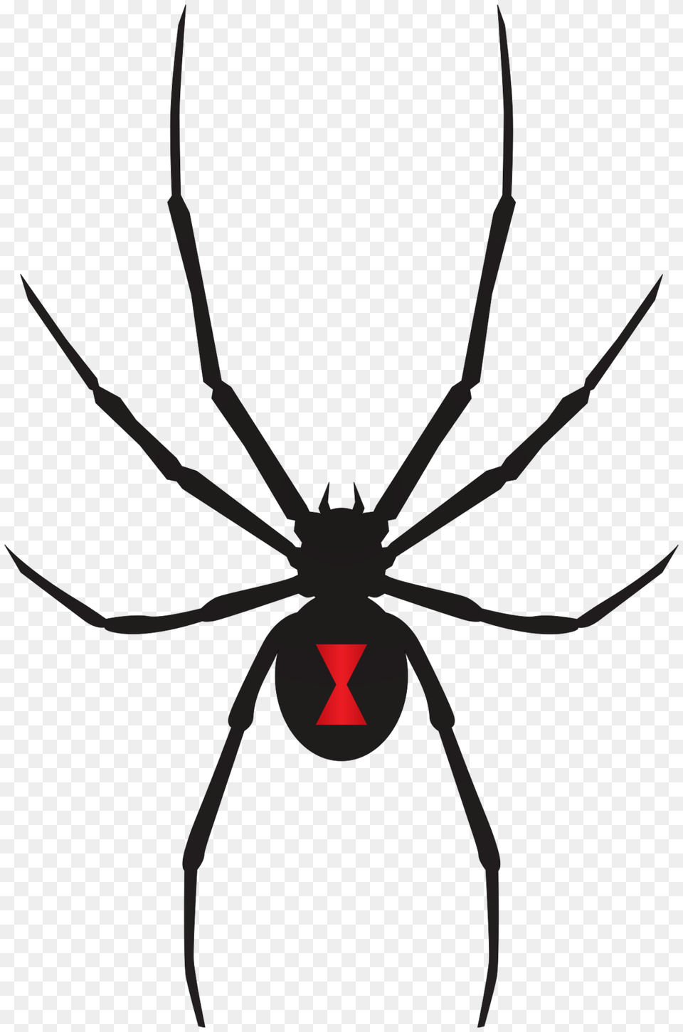 Black Widow Spider Clip Art, Animal, Invertebrate, Black Widow, Insect Png Image