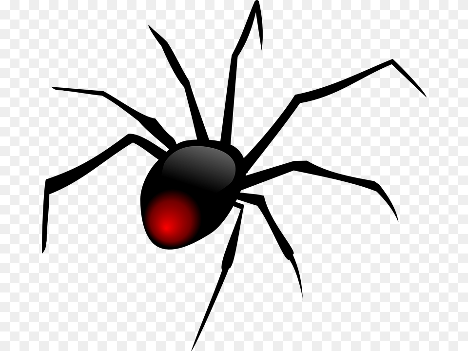 Black Widow Spider Clip Art, Light, Traffic Light, Lighting Png