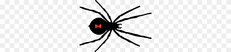 Black Widow Spider Clip Art Diy Crafts Spider, Animal, Invertebrate, Black Widow, Insect Free Transparent Png