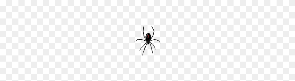 Black Widow Spider Clip Arts For Web, Animal, Invertebrate, Black Widow, Insect Png