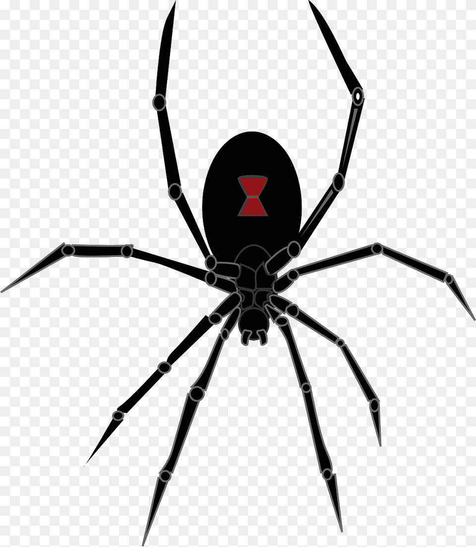 Black Widow Spider Clipart Black Widow Spider Icon, Animal, Invertebrate, Bow, Weapon Png Image