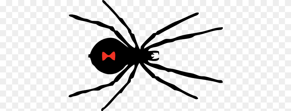 Black Widow Spider Image Black Widow Spider Black And White, Animal, Invertebrate, Black Widow, Insect Free Transparent Png