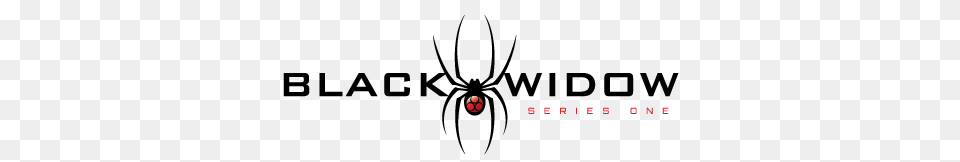 Black Widow Spider Logos, Ball, Football, Soccer, Soccer Ball Png