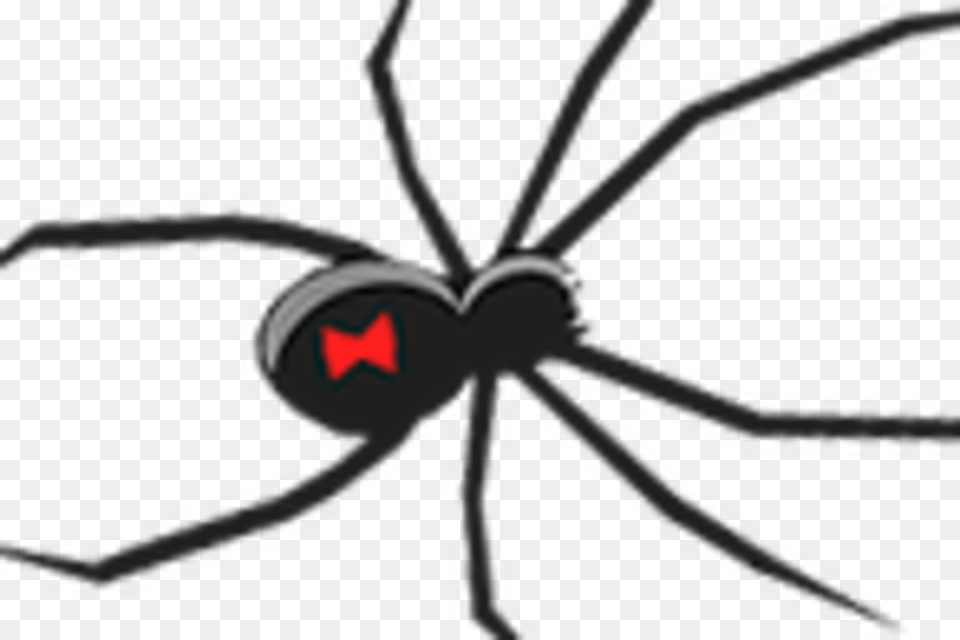 Black Widow Spider Ornament Download Black Widow Clip Art, Animal, Black Widow, Insect, Invertebrate Free Png