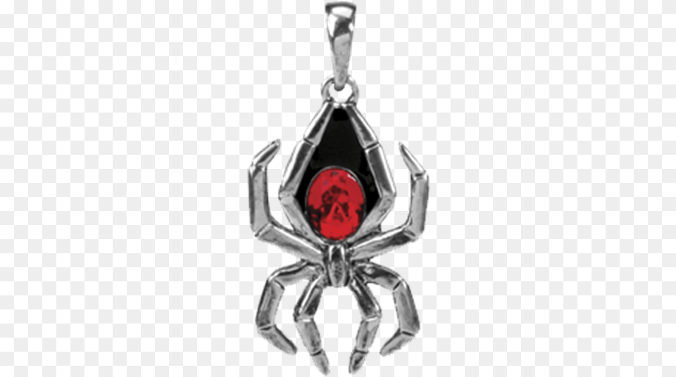Black Widow Spider Pendant Black Widow Necklace, Animal, Invertebrate, Smoke Pipe, Accessories Free Png Download