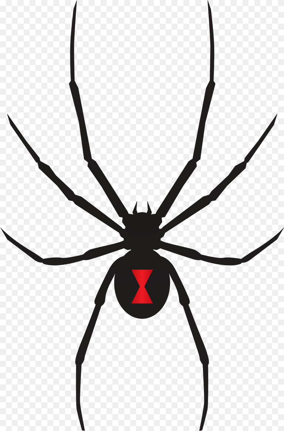 Black Widow Spider Svg, Animal, Invertebrate, Black Widow, Insect Free Png