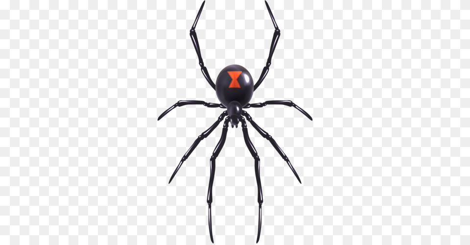 Black Widow Spider Tattoo Spider Clipart Redback Halloween Black Widow Spider, Animal, Invertebrate, Black Widow, Insect Png