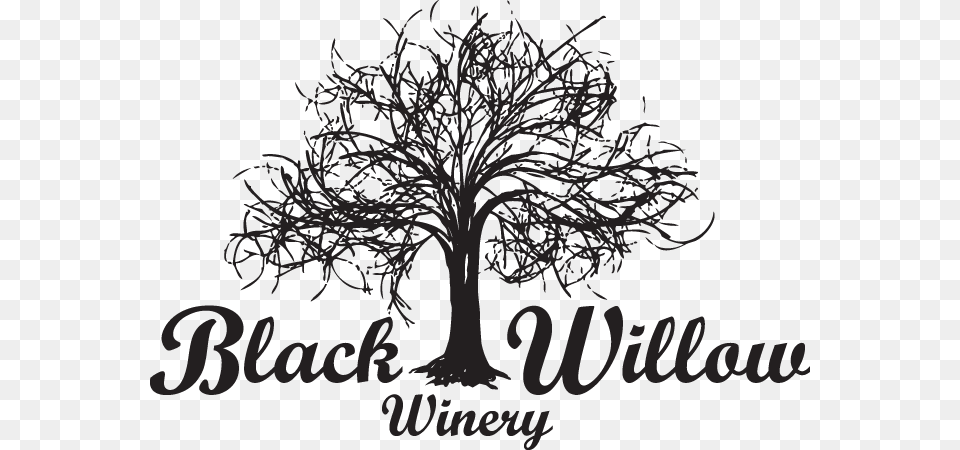 Black Willow Winery Black Willow Winery Black Willow Black And White, Plant, Tree, Art Free Transparent Png