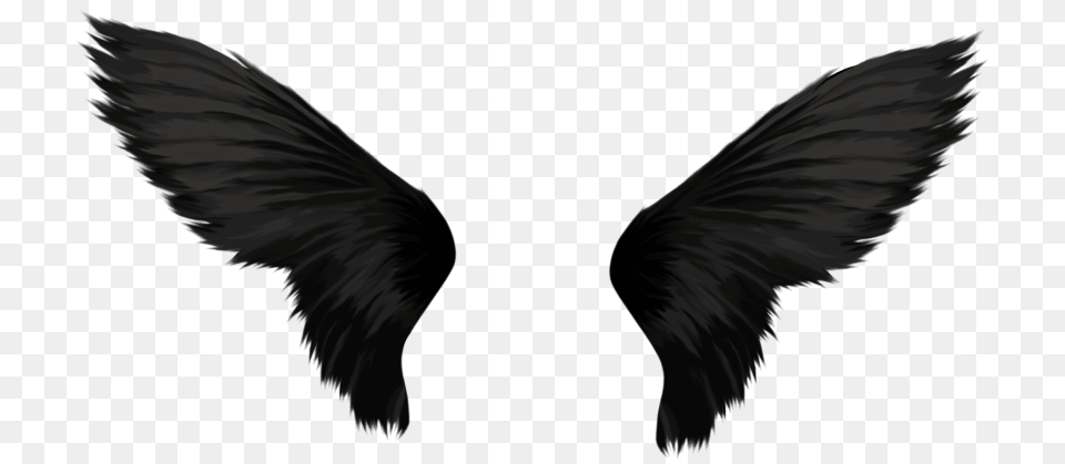 Black Wings, Animal, Bird Free Transparent Png