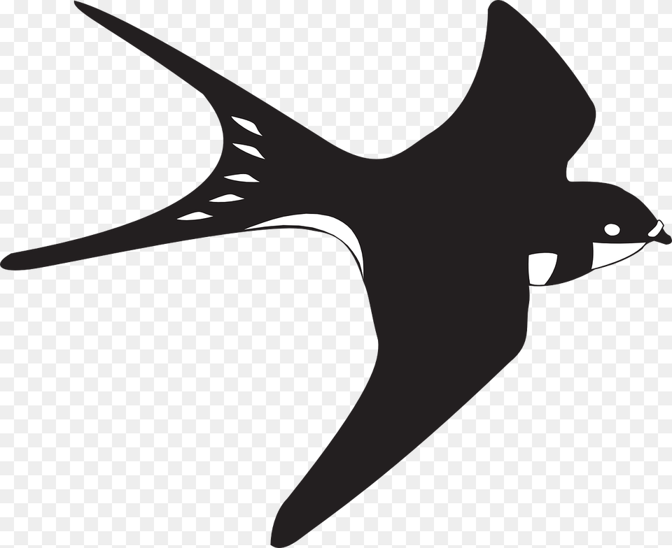 Black Wings, Animal, Bird, Swallow, Fish Png Image