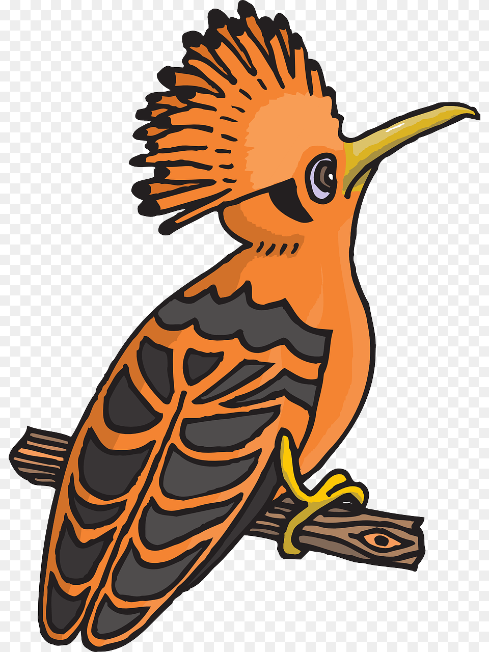 Black Wings, Animal, Beak, Bird, Dinosaur Png