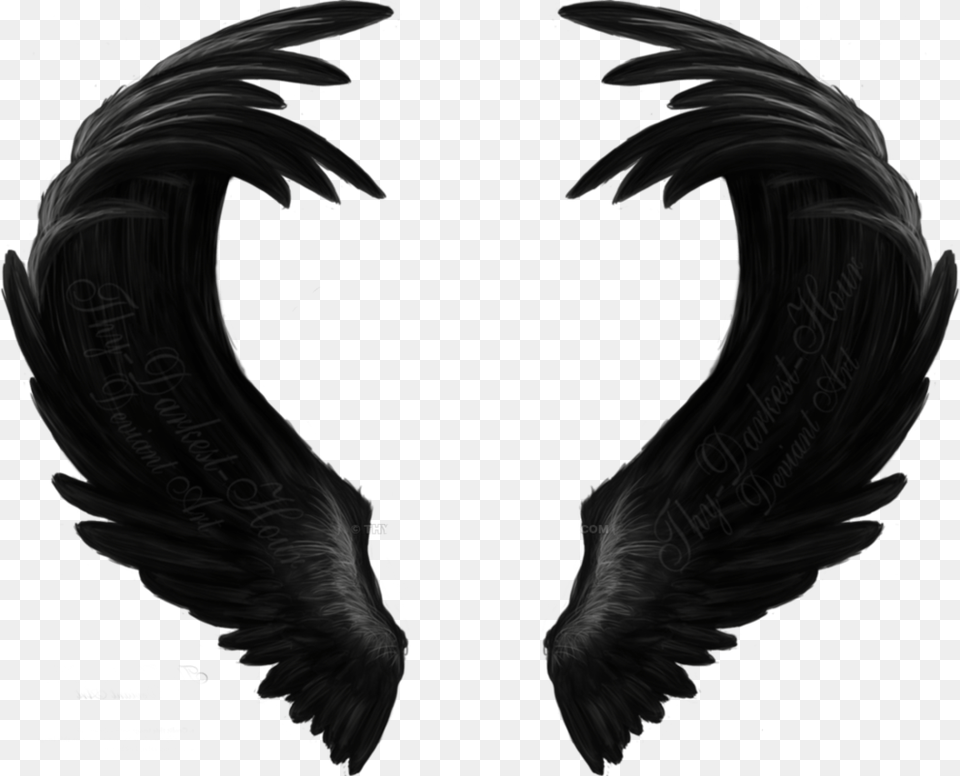 Black Wings Angel Black Wings, Animal, Bird Free Png Download