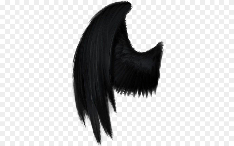 Black Wings Black Angel Wings, Adult, Female, Person, Woman Png Image