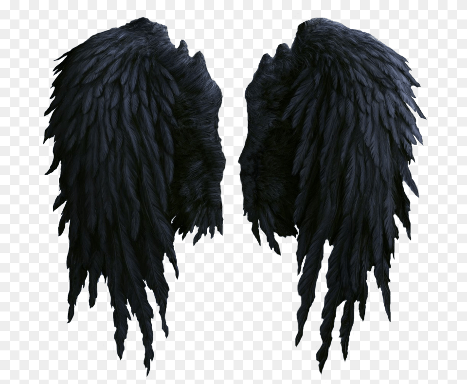 Black Wings Image Realistic Black Angel Wings, Animal, Bird Png