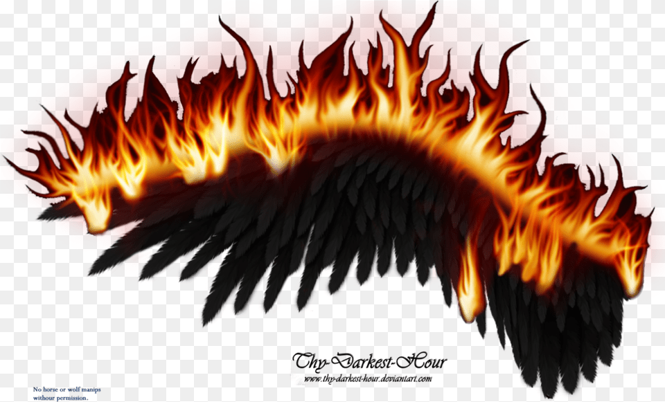 Black Wings On Fire, Bonfire, Flame, Nature, Outdoors Free Png