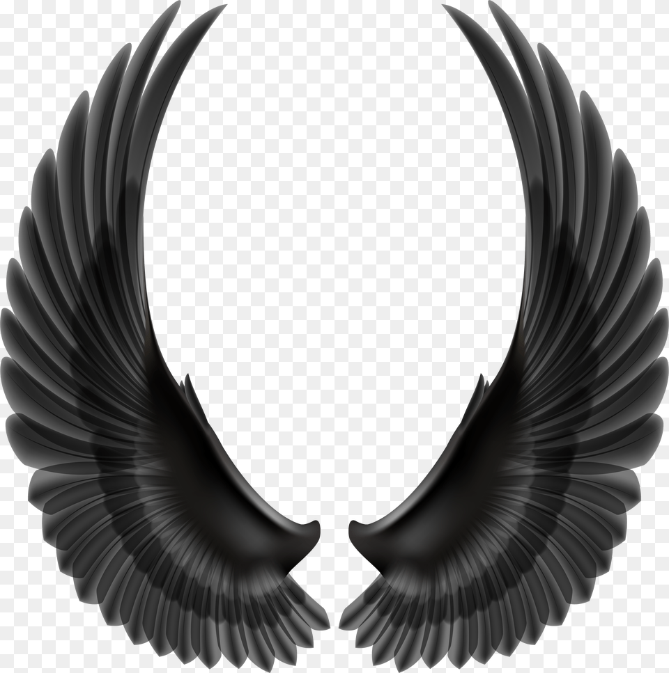 Black Wings Transparent Background Black Wings Free Png