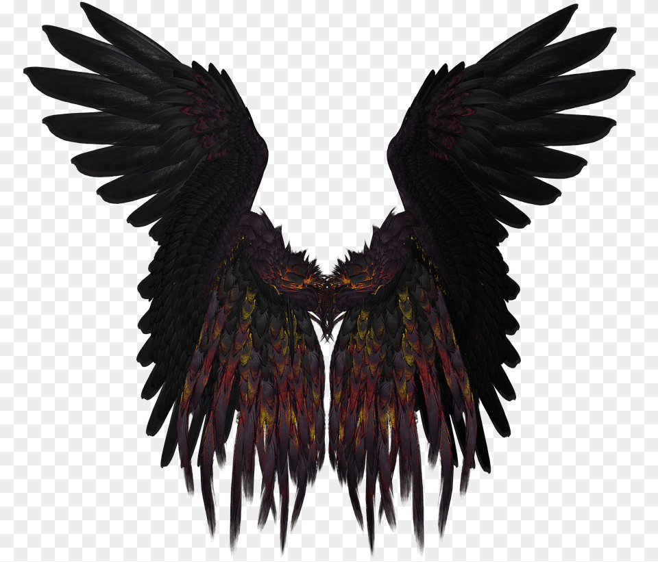 Black Wings Wing Blackwings Alasnegras Alas Sayap Hitam, Animal, Bird, Vulture, Blackbird Png