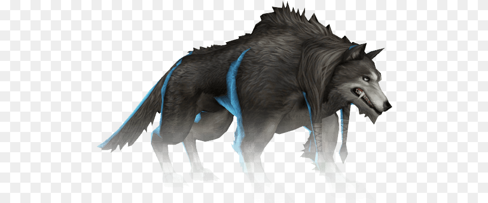Black Wolf, Animal, Mammal, Canine, Dog Free Png Download