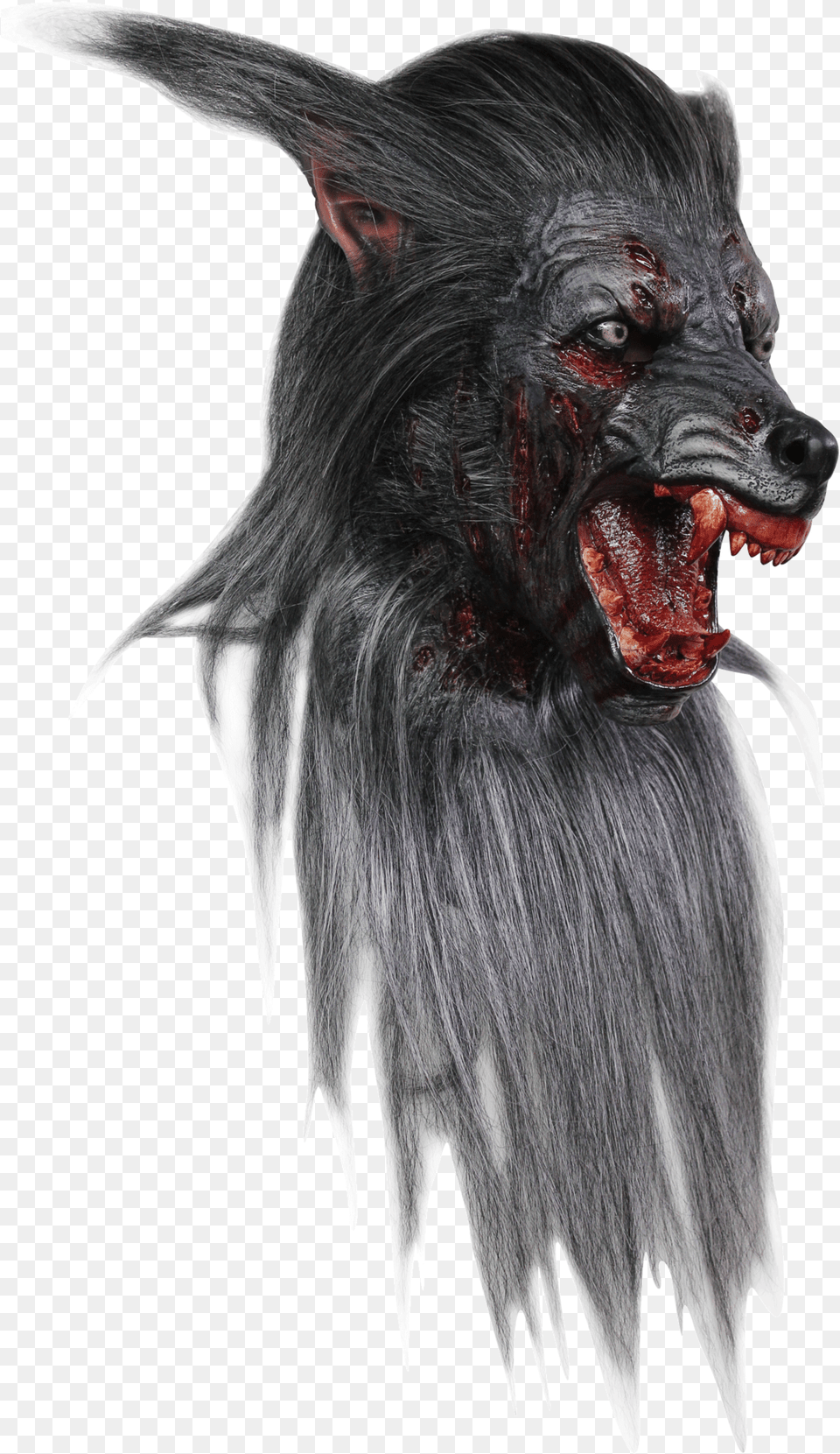Black Wolf Mask Mascaras De Hombre Lobo, Animal, Canine, Dog, Mammal Free Png