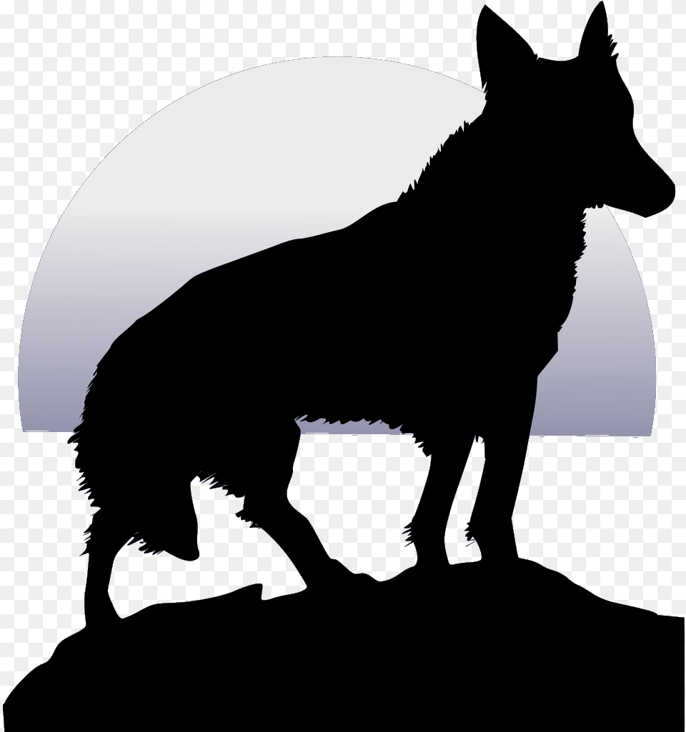 Black Wolf Transparent Background, Silhouette, Animal, Coyote, Mammal Free Png Download