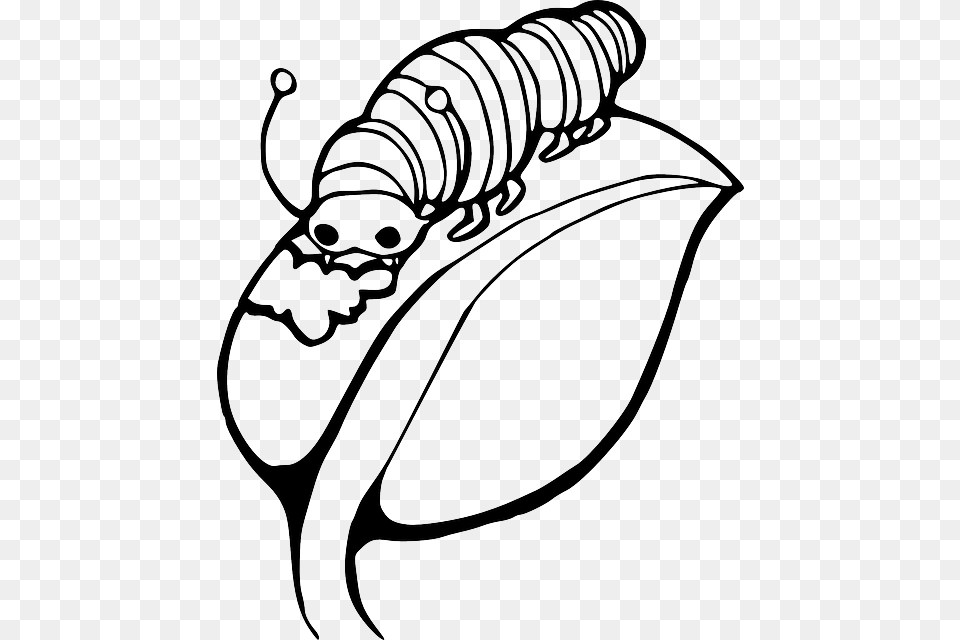 Black Worm Outline Leaf White Cartoon Caterpillar Draw A Caterpillar On A Leaf, Animal, Face, Head, Invertebrate Free Png Download