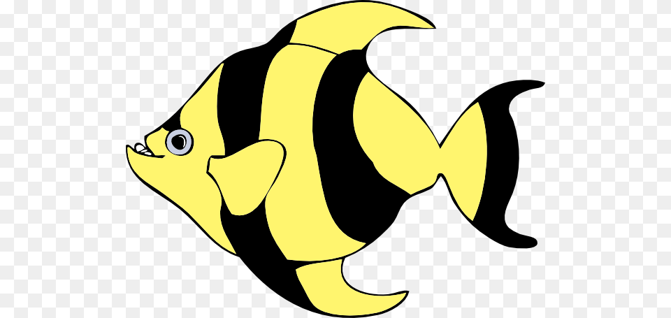Black Yellow Fish Clip Art, Angelfish, Animal, Sea Life, Rock Beauty Png Image