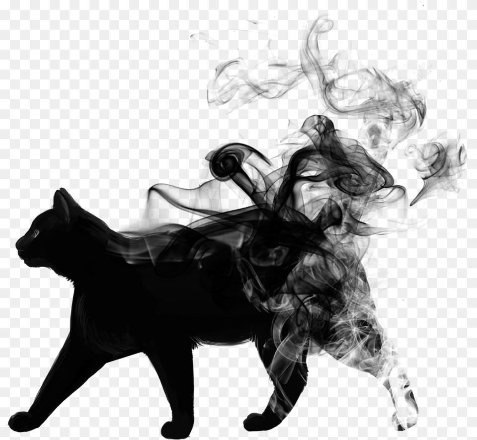 Blackandwhite Cat Animal Black Smoke Picsart Smoke Black, Silhouette, Horse, Mammal, Adult Free Transparent Png