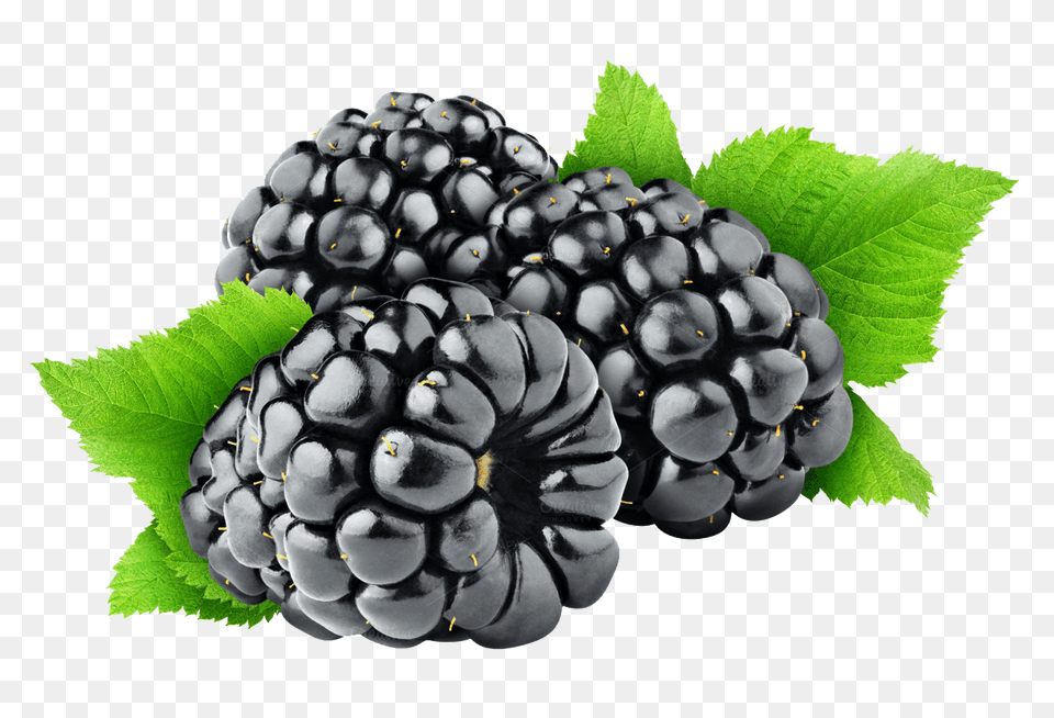 Blackberries And Leaves, Berry, Food, Fruit, Plant Free Png Download