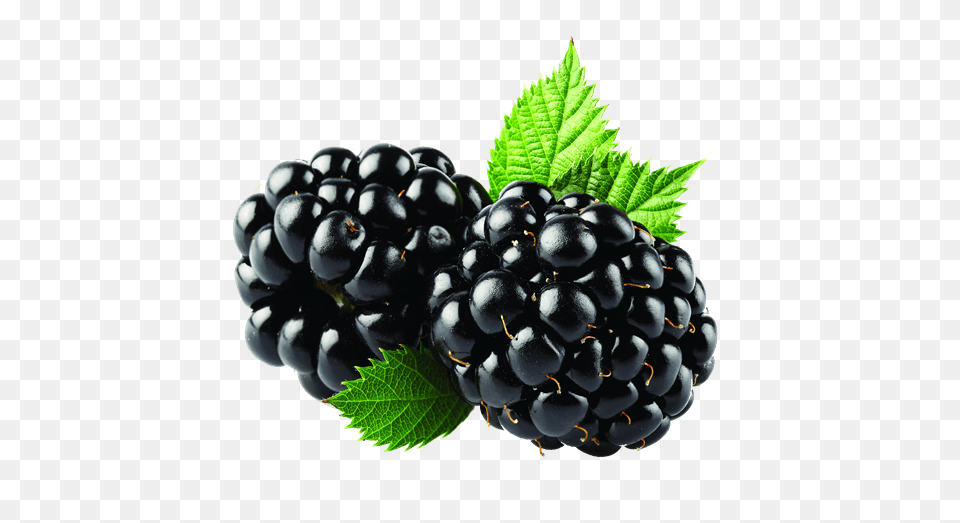 Blackberries Duo, Berry, Food, Fruit, Plant Png Image